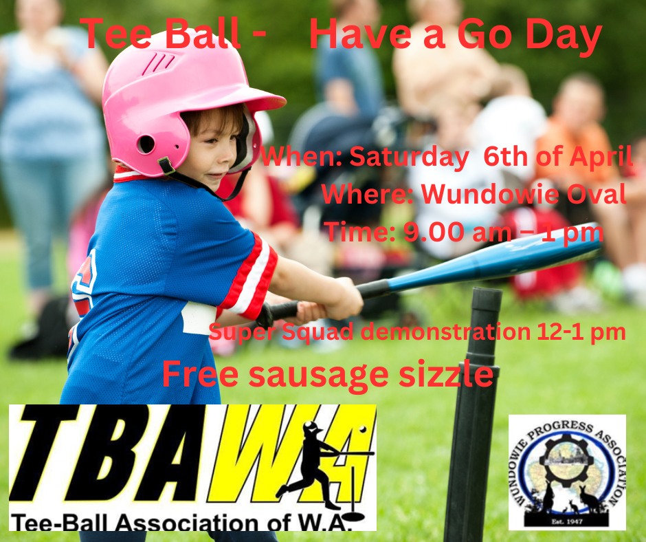 Wundowie Holiday Activities Tee - Ball Age 5 plus