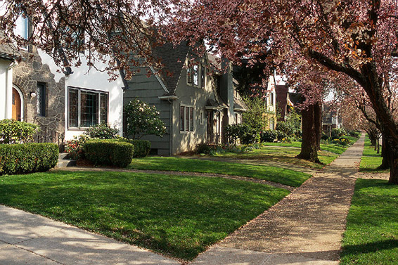 Trees along house blocks