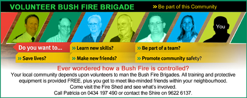 Volunteer Bush Fire Brigade Volunteer Bush Fire Brigade