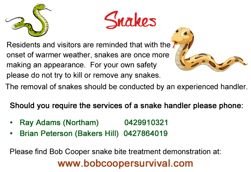Snakes Alive Snakes Alive