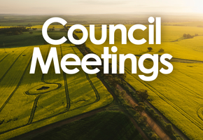 Council & Committee Meetings Image