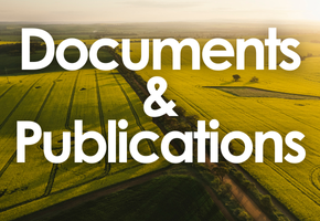 Documents & Publications Image