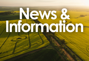 News & Information Image