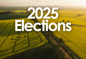Local Government Elections 2025 Image