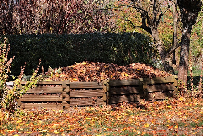 Dry leaves on top of compost bin
