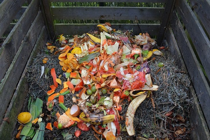 Kitchen scraps on top of leaf waste in crate