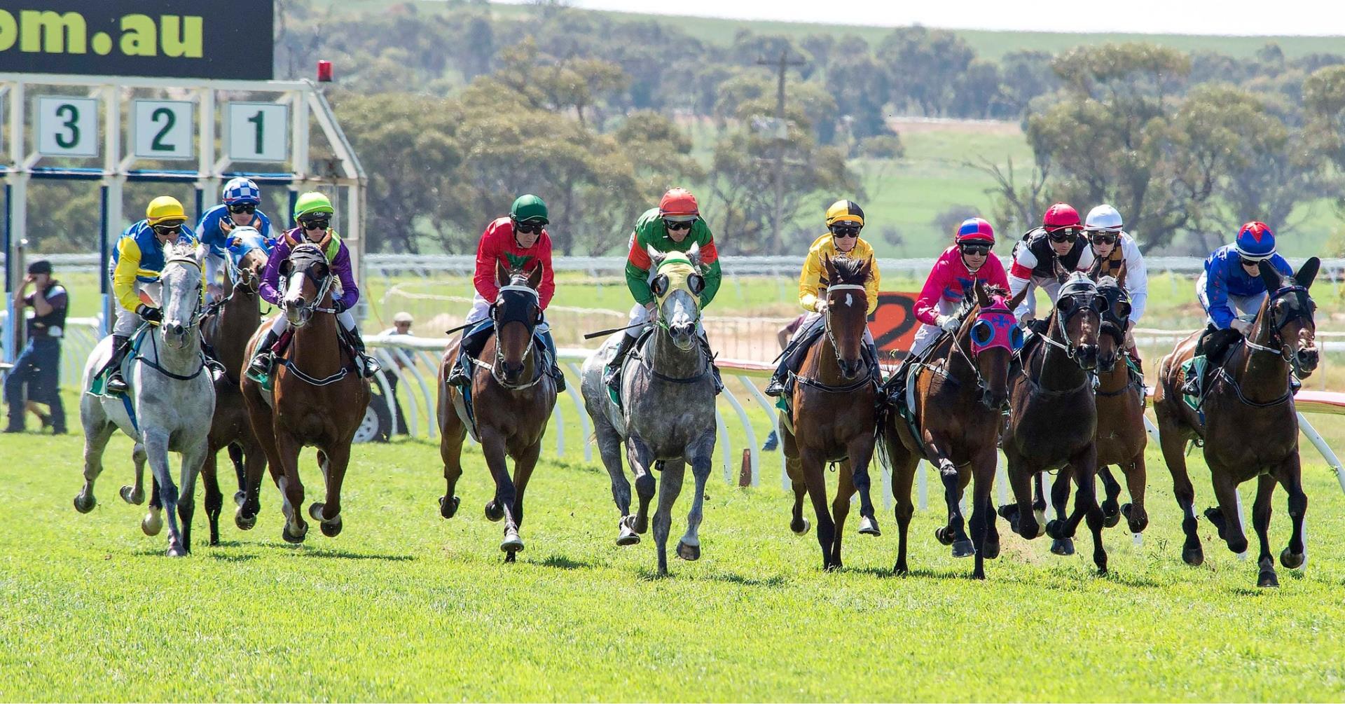 Racing At Northam Race Club
