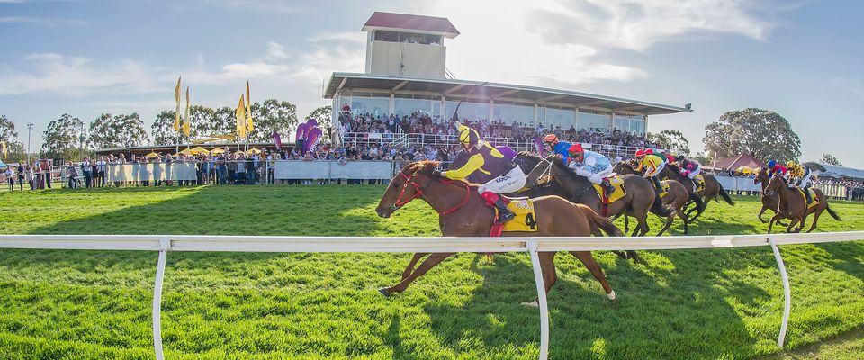 Racing At Northam Race Club for WA Day!