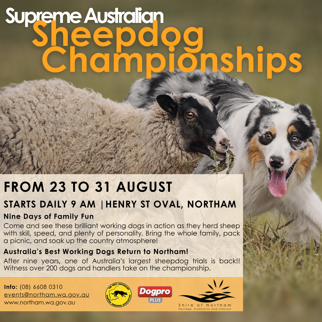 Supreme Australian Sheepdog Championships