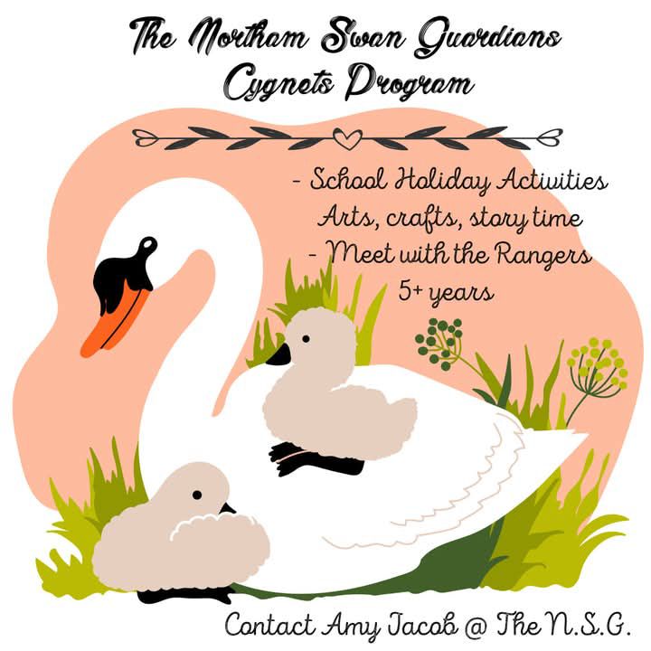 Cygnets Program