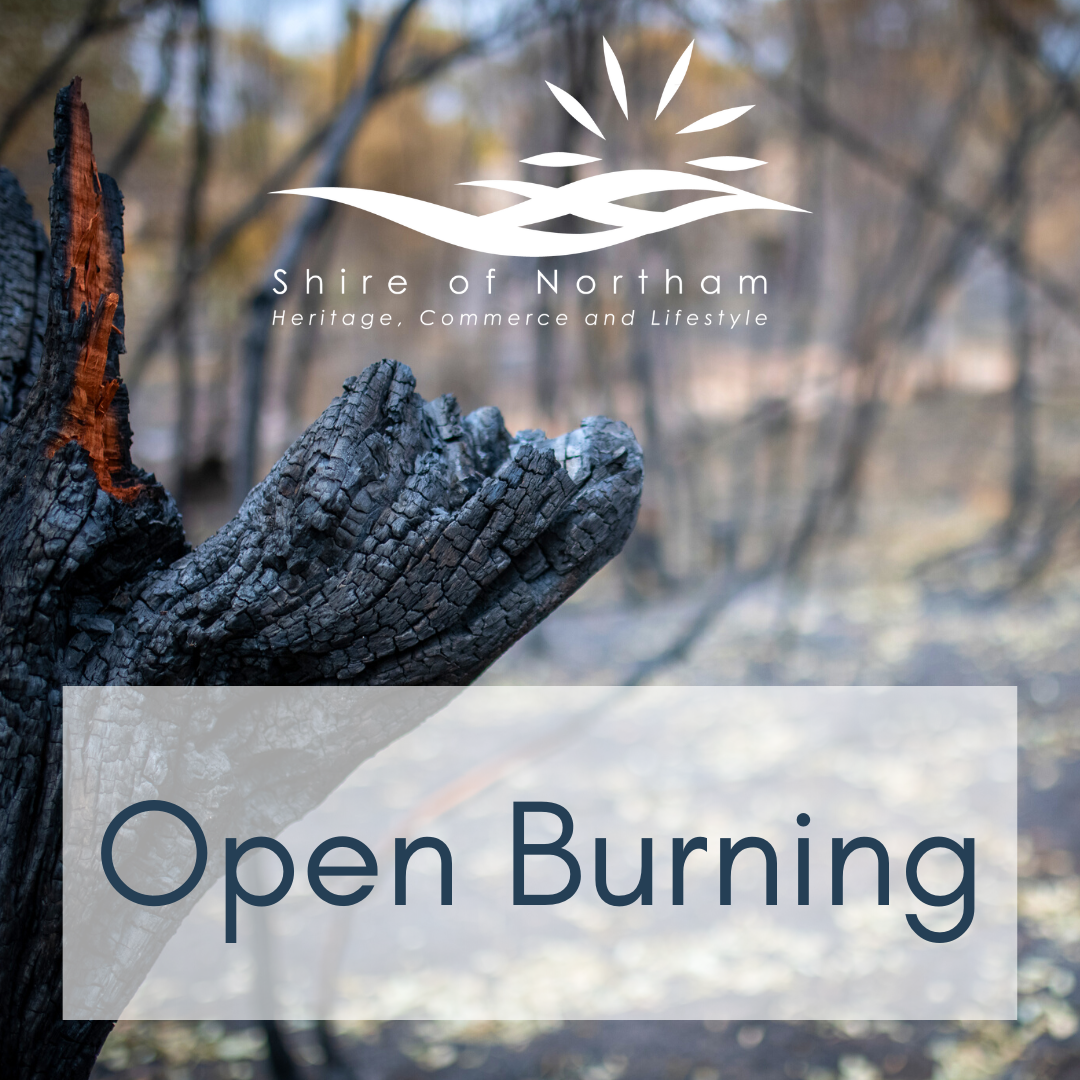 OPEN BURNING