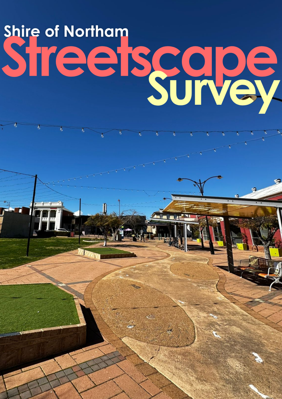 Streetscape Survey