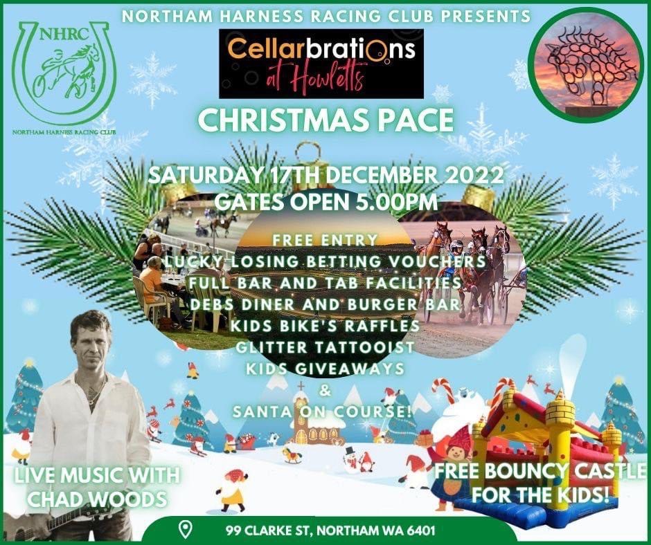 Christmas Pace With Northam Harness