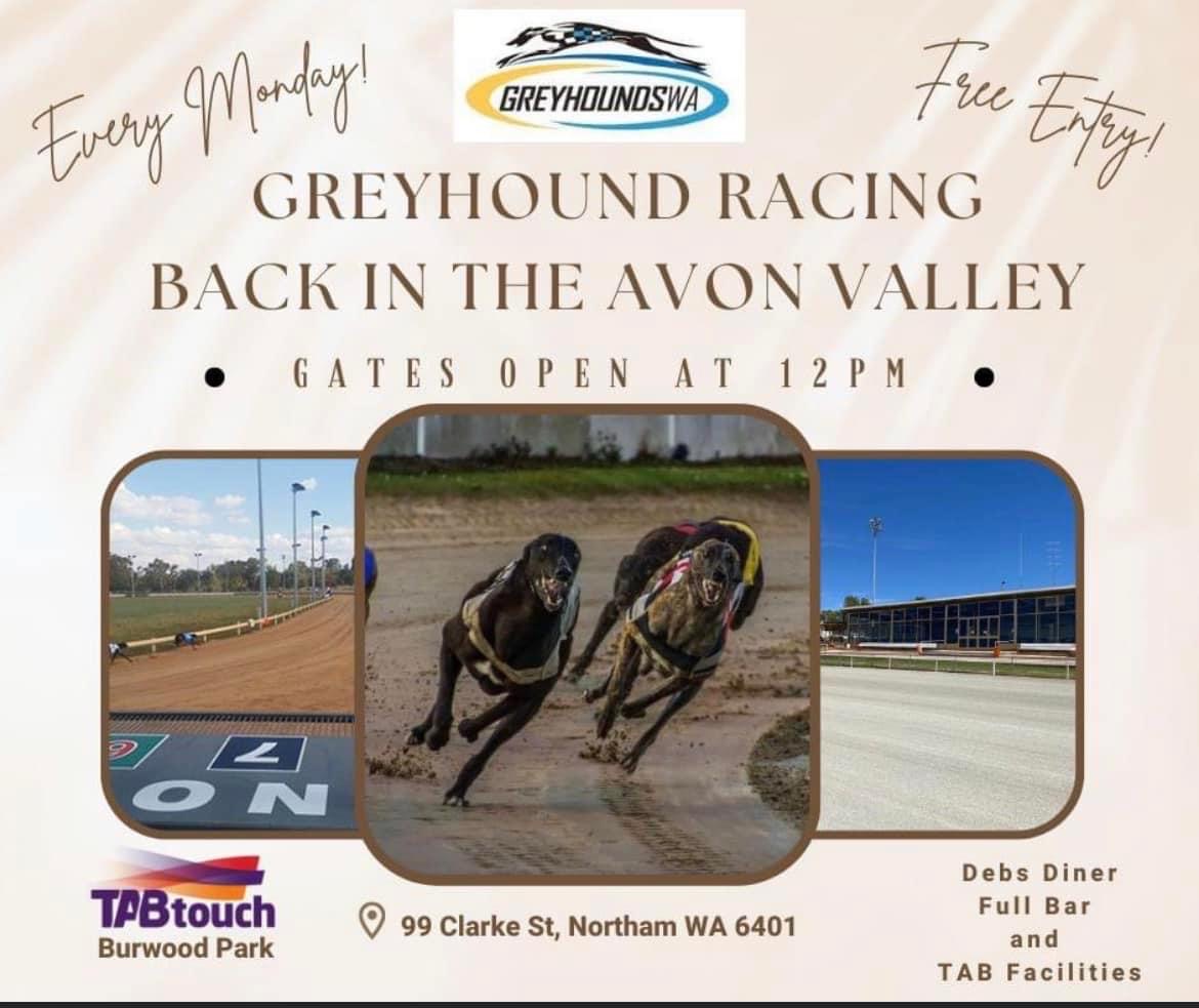 Greyhound Racing Is Back!