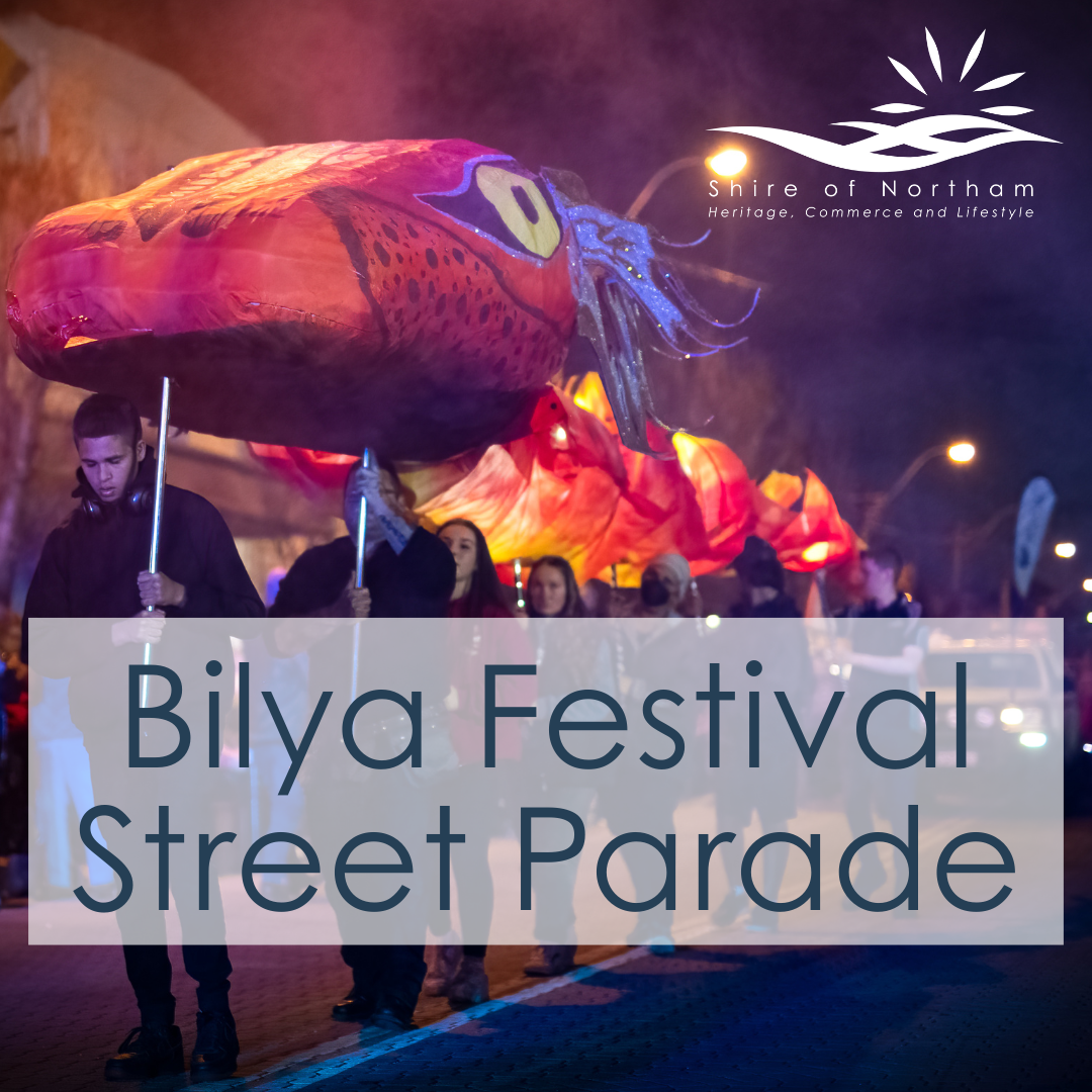 BILYA FESTIVAL 2023 STREET PARADE APPLICATION