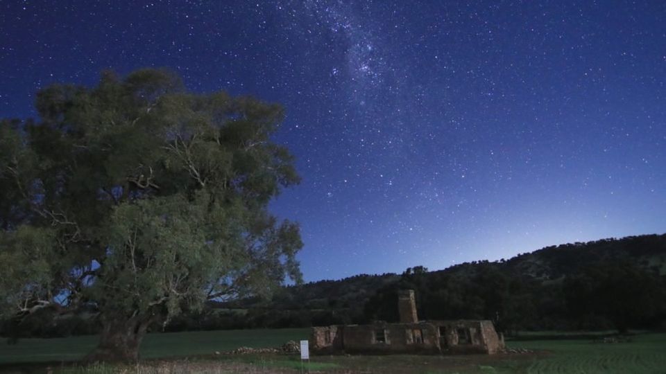 Stargazing on Bernard Park